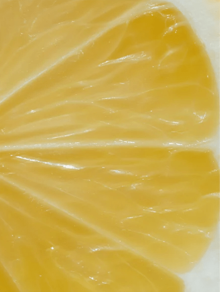 Vitamin C Serum, 30ml/ 1.0 fl oz – Natural 30ml/ 1.0 fl oz by Radiant Bloom – Natural Organic Skincare